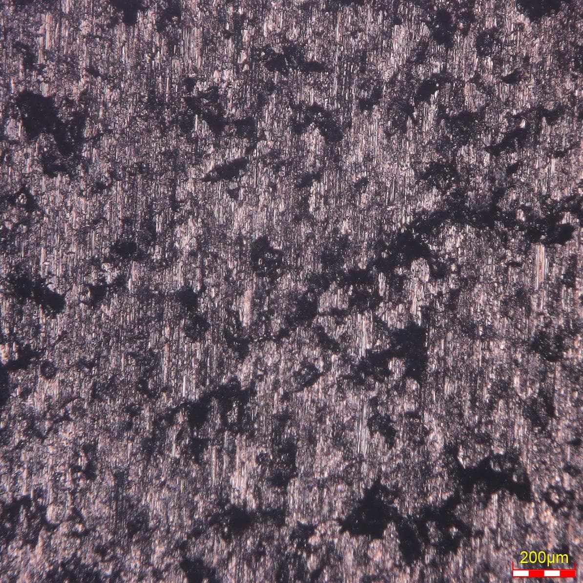 CellMo Metal Foam