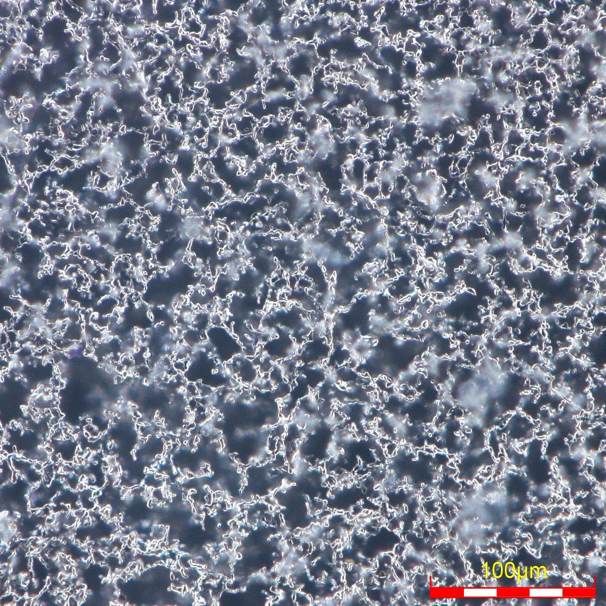 CellMo Metal Foam