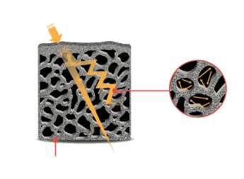 Force Diagram