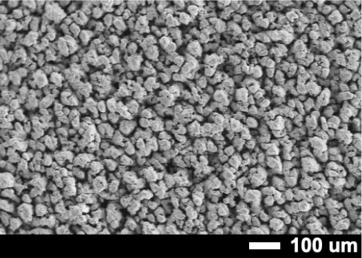 CryoStruct™ Titanium foam micropores
